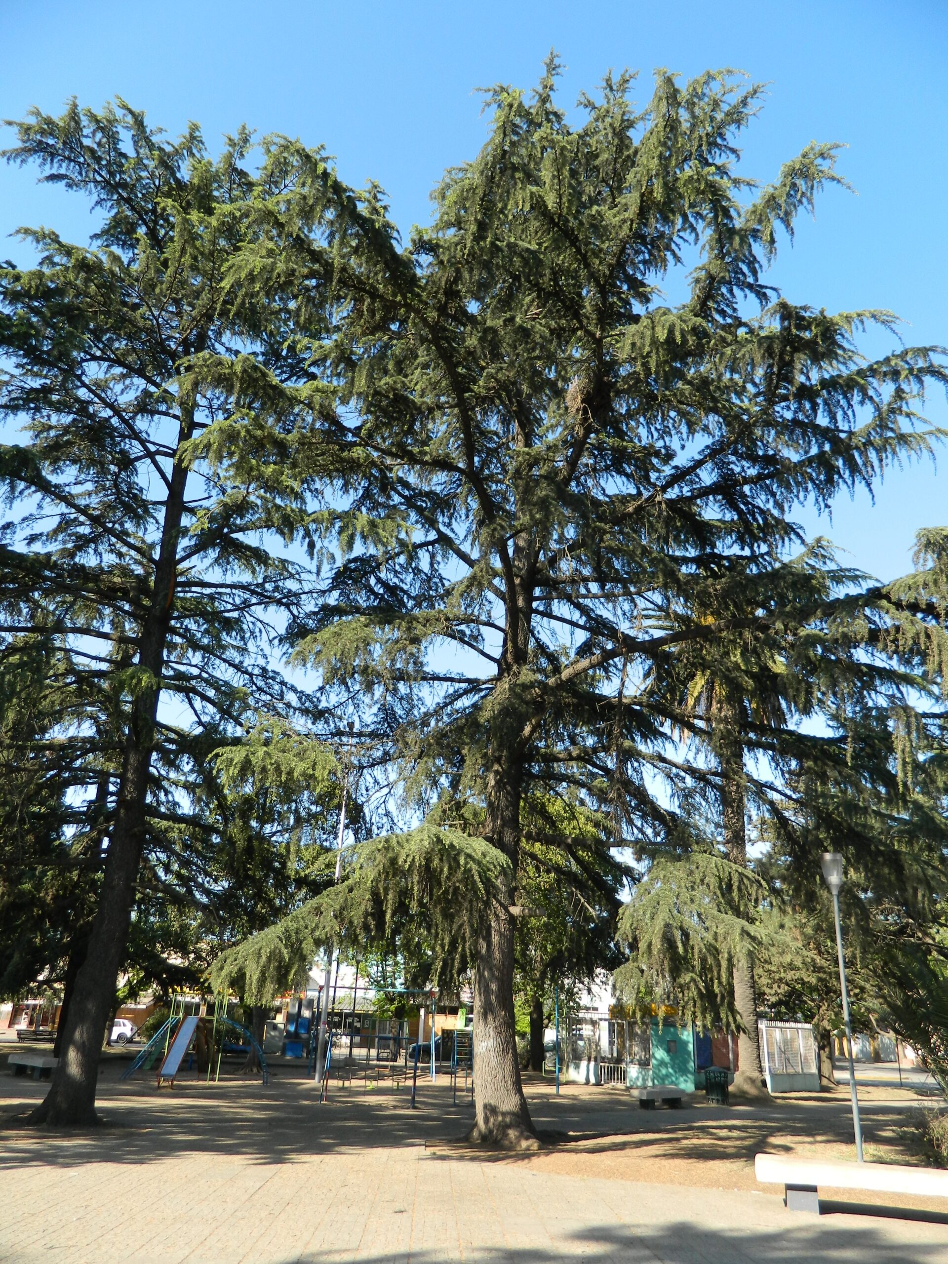 مشهد من مدينة براغادو – الصورة 36